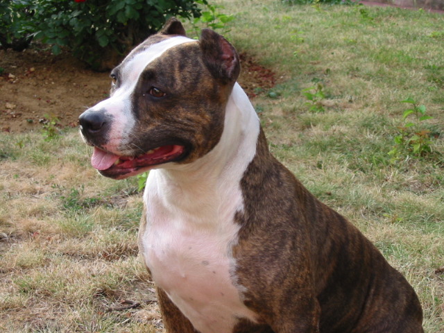 P'louna (Sans Affixe)